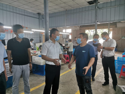 王建華在浮屠調研脫貧攻堅、鄉村振興和巡視反饋問題整改工作